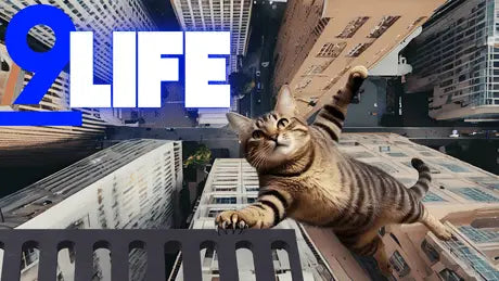 Shirt- 9-Life (version 2) - Adult -crew short sleve