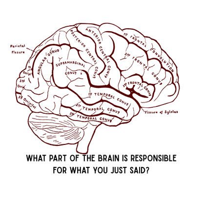 Shirt- Brain Sections - Adult -crew short sleeve