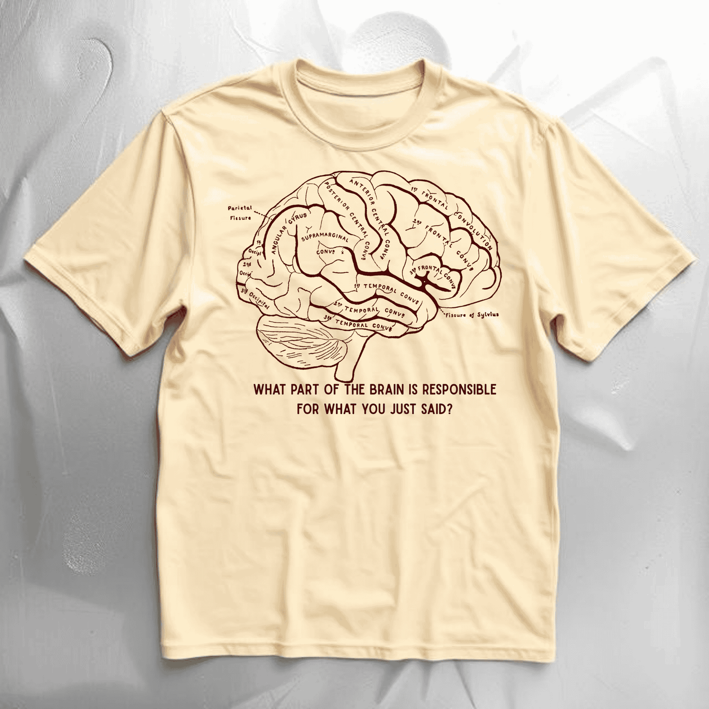 Shirt- Brain Sections - Adult -crew short sleeve