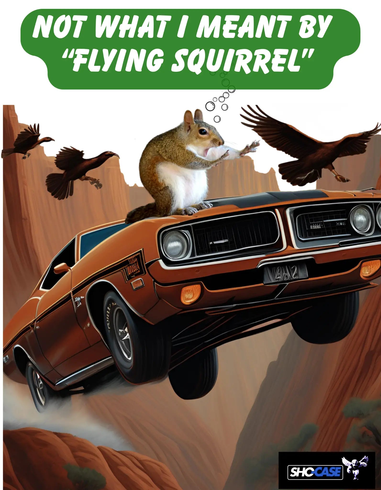 Front graphic squirrel car